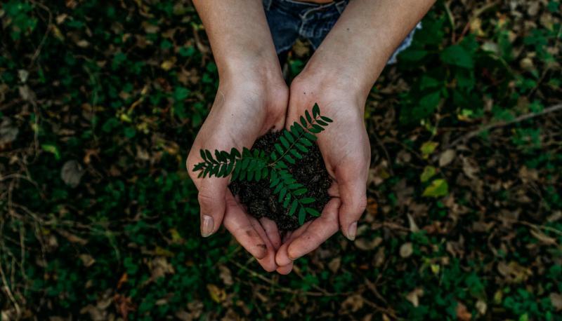 Qual a importância da logística sustentável