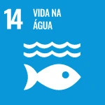 Sustentabilidade